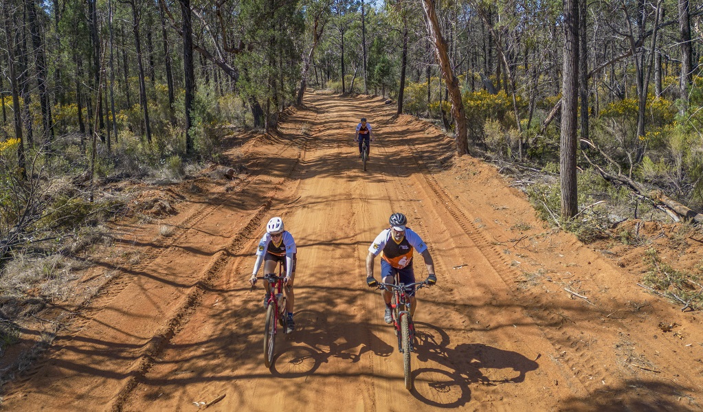 Two cyclists and a third in the background ride along a red dirt road through the Pilliga Forest in the Tour de Gorge. Photo: John Spencer &copy; DCCEEW